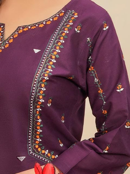 Winter Special Soft Cotton Embroidered Stitched 2-Piece